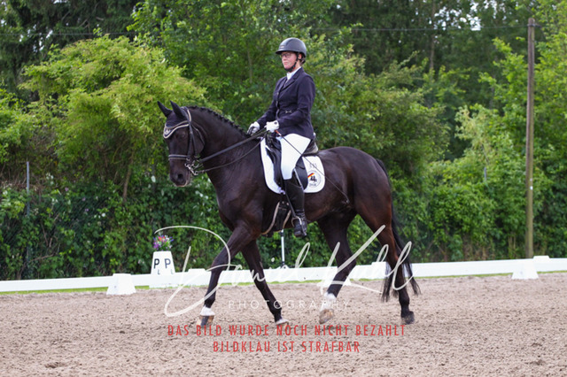 DKP41164 | Turnierfotos kaufen im Webshop von Daniel Kuhl Photography – entdecke professionelle Reitsportfotos aus Turnieren & Events. Hochwertige Turnierbilder online bestellen & sichern. Jetzt Fotos von Reitsportturnieren kaufen!