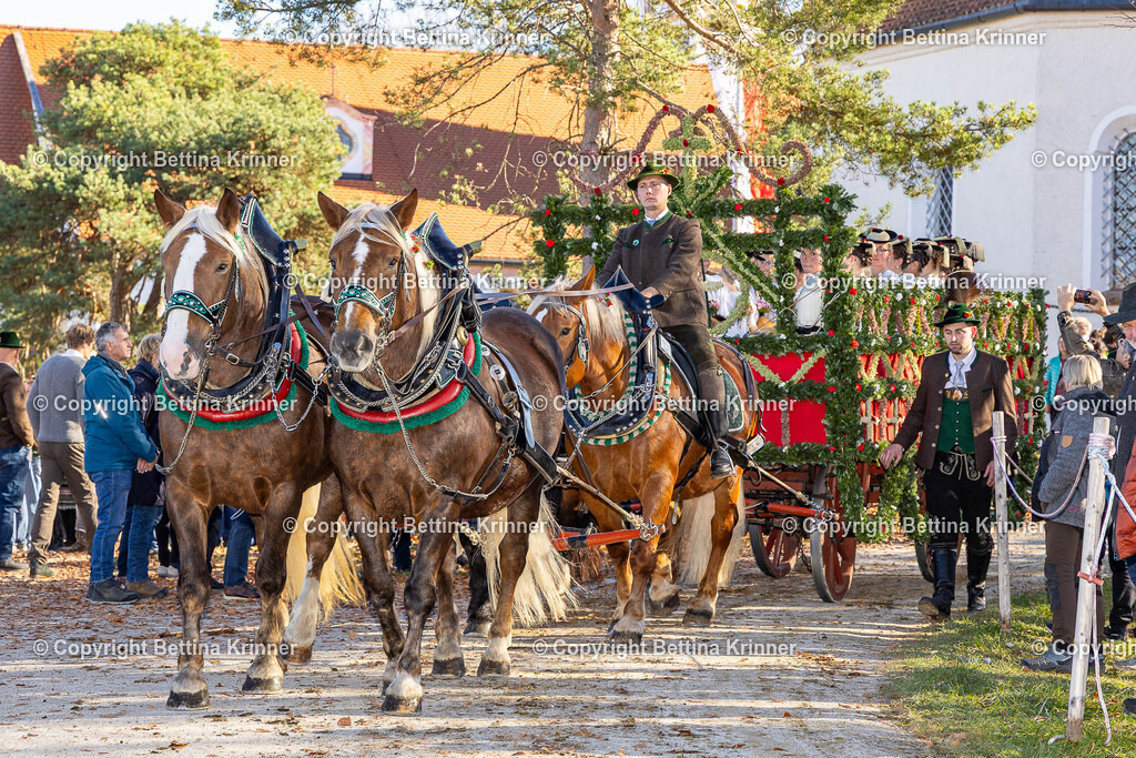 LBT25-1351 | foto-bettina-krinner - Realisiert mit Pictrs.com