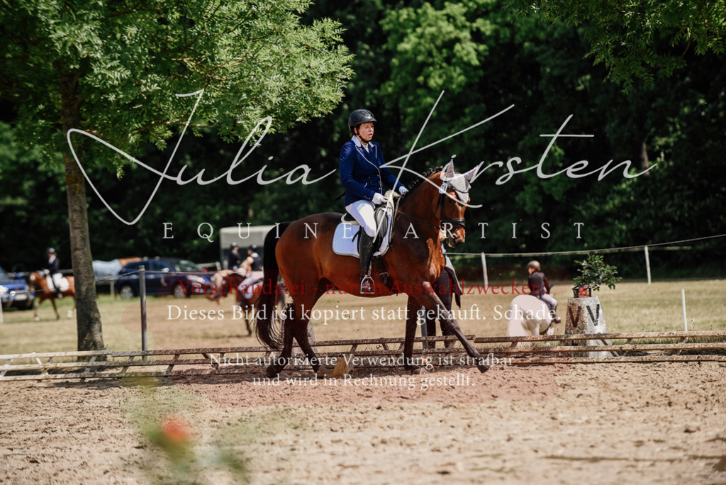 DSC_1252 | Pferde- und Turnierfotografie in Westsachsen. Pferdeportraits, Auftragszeichnungen und intuitive Kunst.