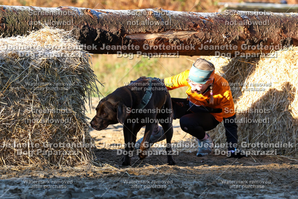 Dog Paparazzi - Strongdog 10-25-761 | Dog Paparazzi Jeanette Grottendiek Fotografie & Videografie - Realisiert mit Pictrs.com