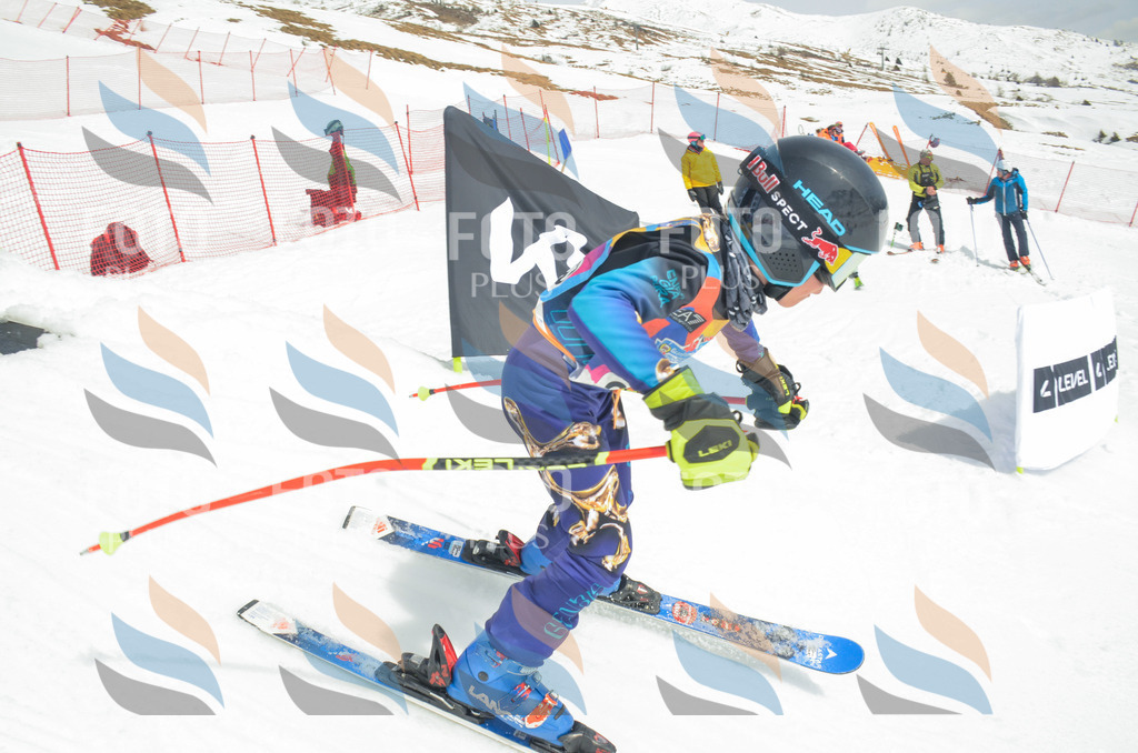 _ELE7978 | holidayphoto