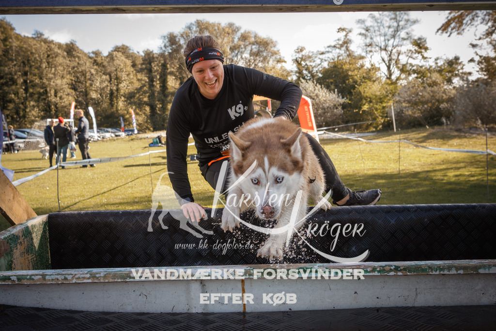 1227_ZZ96344-2 | kk-dogfotos