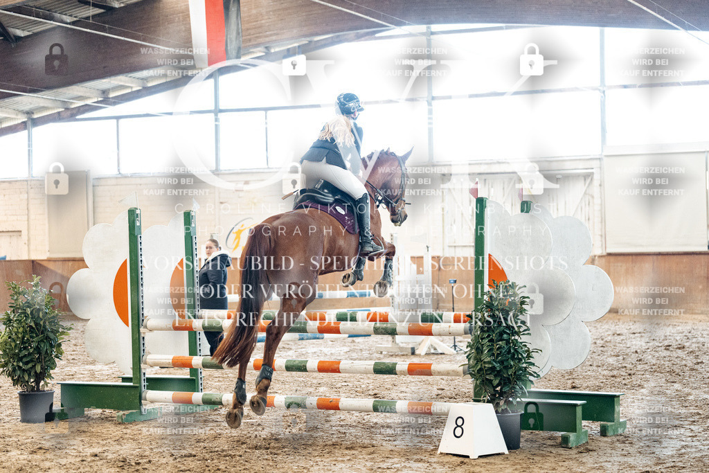 CK904759 | Turnierfotografie Pferdefotografie Trier Rheinland-Pfalz Pferdesport Reitsport Tierfotografie Sportfotografie Pferdevideo Pferdevideografie Equestrianvideography equestrianphotography  - Realized with Pictrs.com