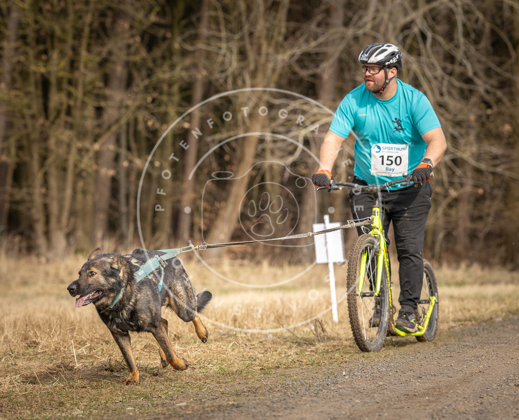 DV3A4816 | Hundefotografie, Tierfotograf, Pfotenfotografie, Fotoshooting Hund, Hunde Portrait, Hundesport, Hundeportraits, Heideshooting, Hunde, Sportfotograf, Hundefotograf, Turnierhundsport, THS,  - Realisiert mit Pictrs.com