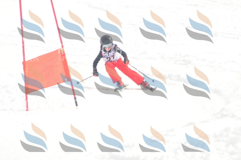 A5220 | holidayphoto