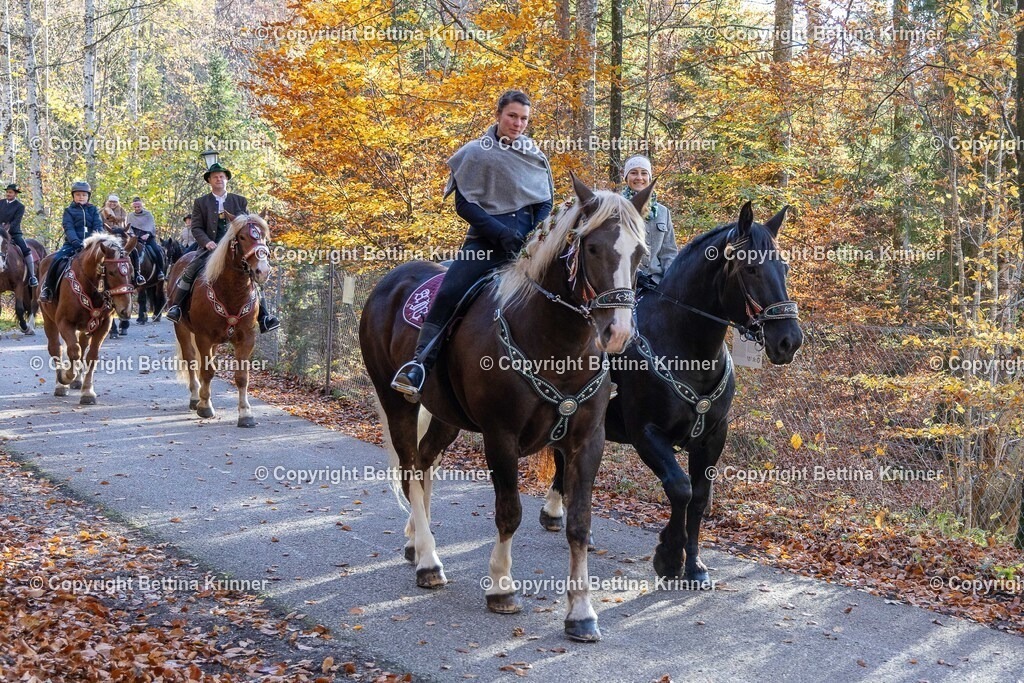 LL24-342 | foto-bettina-krinner - Realisiert mit Pictrs.com