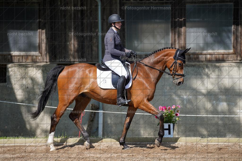 20240519-FAH04744 | Turnierbilder Niederseeon 2024, Vielseitigkeitsdressur, Reitsportbilder aus dem Landkreit Ebersberg, Gut Steinsee, RC Steinsee, Fotoagentur Herrmann