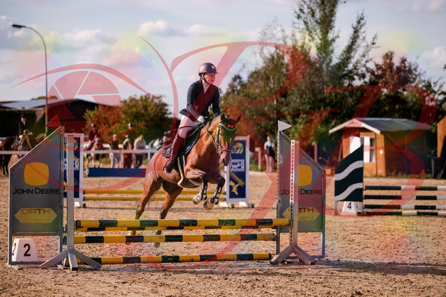 2026_10_03_Siefer-Hof_155323_Z81_72791345 | Professionelle Reitsport-, Turnier- und Eventfotografie von Robert Broda. Galerien mit ausgewählten und bearbeiteten Bildern direkt online ansehen und bestellen.