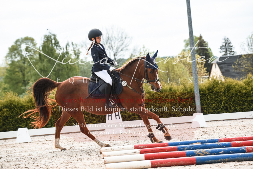 20230518_JK-Röhrsdorf-10-036 | Pferde- und Turnierfotografie in Westsachsen. Pferdeportraits, Auftragszeichnungen und intuitive Kunst.