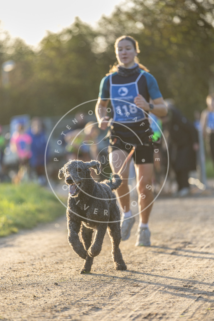 Pfotenfotografie.de_DV3A2434 | Hundefotografie, Tierfotograf, Pfotenfotografie, Fotoshooting Hund, Hunde Portrait, Hundesport, Hundeportraits, Heideshooting, Hunde, Sportfotograf, Hundefotograf, Turnierhundsport, THS, canicross - Realisiert mit Pictrs.com