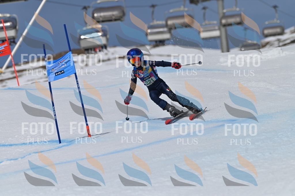 BGV_6348 | holidayphoto