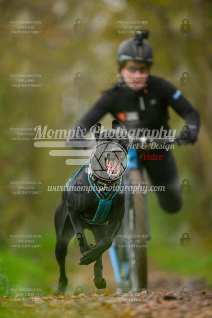 MompixPhotography_20TSB_E6_DS1-8 | PayLife