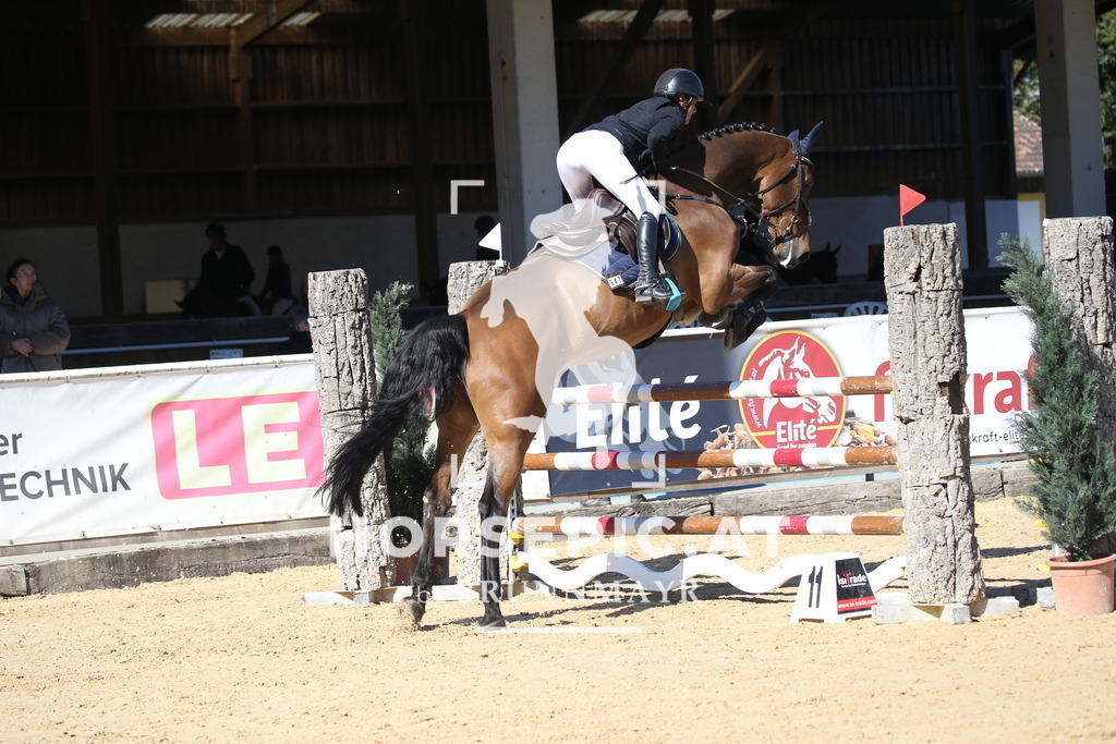 DL2Q2476 | Willkommen bei Brunnmayr - Design & Fotografie – Ihrem Spezialisten für Reitturniere und Pferdeveranstaltungen in Oberösterreich, Salzburg und Bayern! Seit über 17 Jahren sind wir leidenschaftlich dabei.