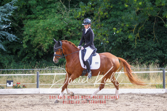 DKP45630 | Turniersportfotografie; Pferdefotografie; Dressurfotografie