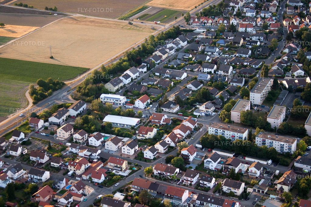 Luftbild: Peter-Rosegger-Straße im Ortsteil Roxheim in Bobenheim-Roxheim im Bundesland Rheinland-Pfalz in Deutschland. Foto: IMG_69203.jpg vom 24.06.2014 durch Werner Riehm/FLY-FOTO.de