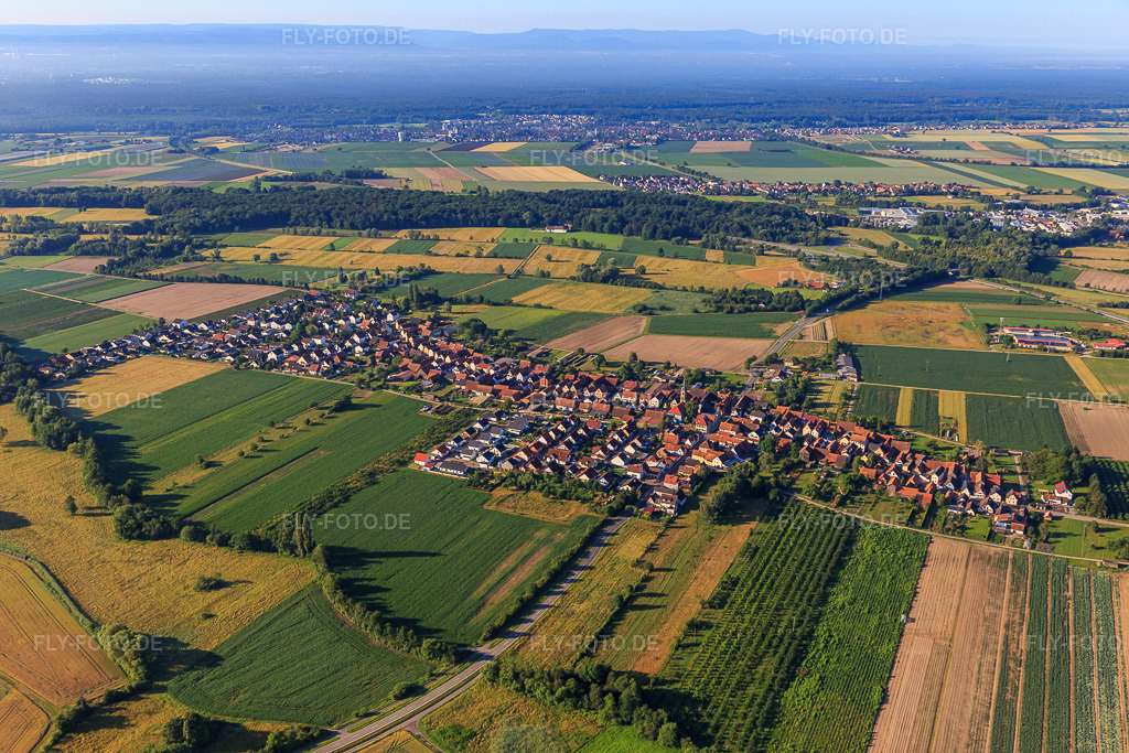 Luftbild: Ortsansicht von Norden in Erlenbach bei Kandel im Bundesland Rheinland-Pfalz in Deutschland. Foto: IMG_007822.jpg vom 21.06.2020 durch Werner Riehm/FLY-FOTO.de