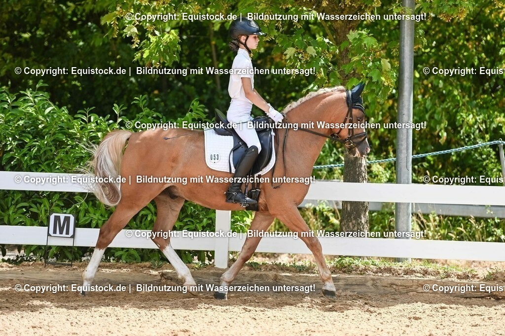 20230715_09_Dressur-WB_0247 | equistock