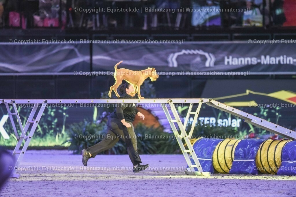 20231115_Dog-Agility_0115_TOMsPiC | Foto: Thomas Hartig