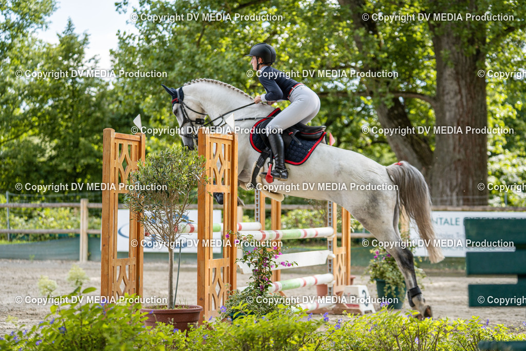 Hessische Tag 1-862 | dv-media-shop - Realisiert mit Pictrs.com