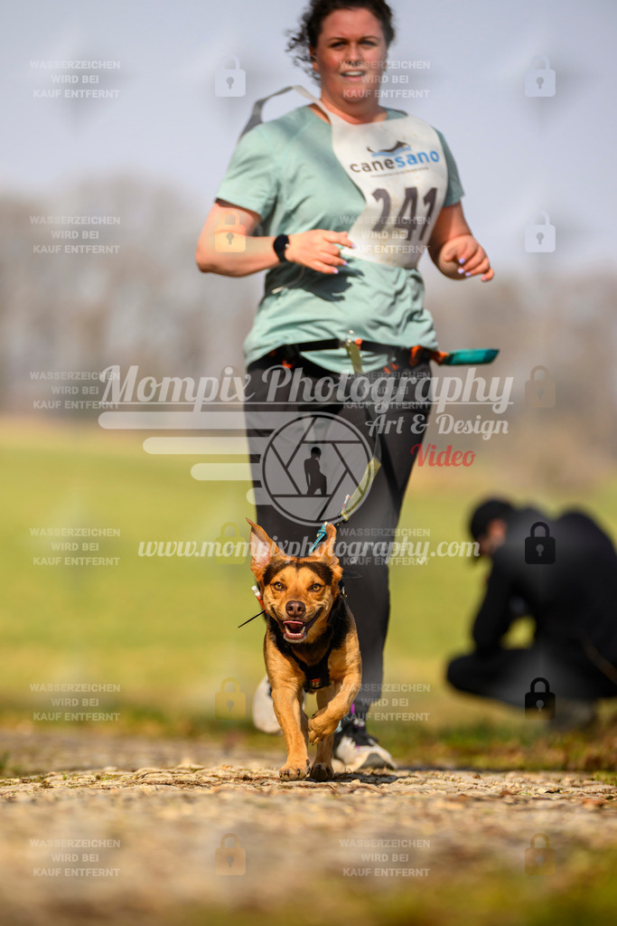 MompixPhotography_6ReiatRennen2026_SA_HappyDog-62 | PayLife