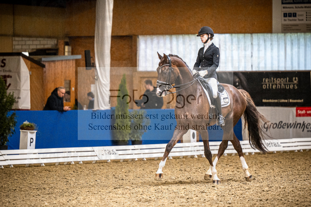 DOS_4122 | Entdecke hochwertige Reitturnierfotos von Foto Oger. Professionell, emotional und authentisch – jetzt Lieblingsmomente im Shop bestellen.Deutschlandweite Turnierfotografie. - Realisiert mit Pictrs.com