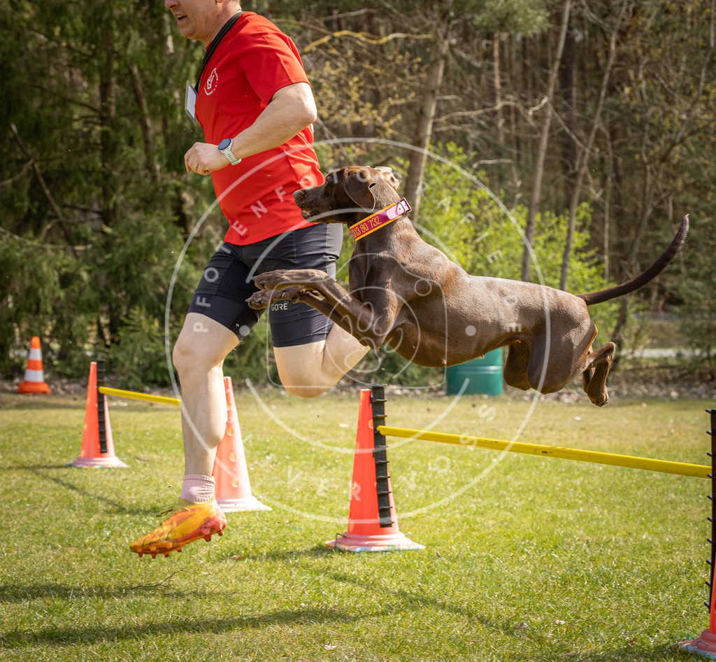 Pfotenfotografie_DV3A6104 | Hundefotografie, Tierfotograf, Pfotenfotografie, Fotoshooting Hund, Hunde Portrait, Hundesport, Hundeportraits, Heideshooting, Hunde, Sportfotograf, Hundefotograf, Turnierhundsport, THS,  - Realisiert mit Pictrs.com