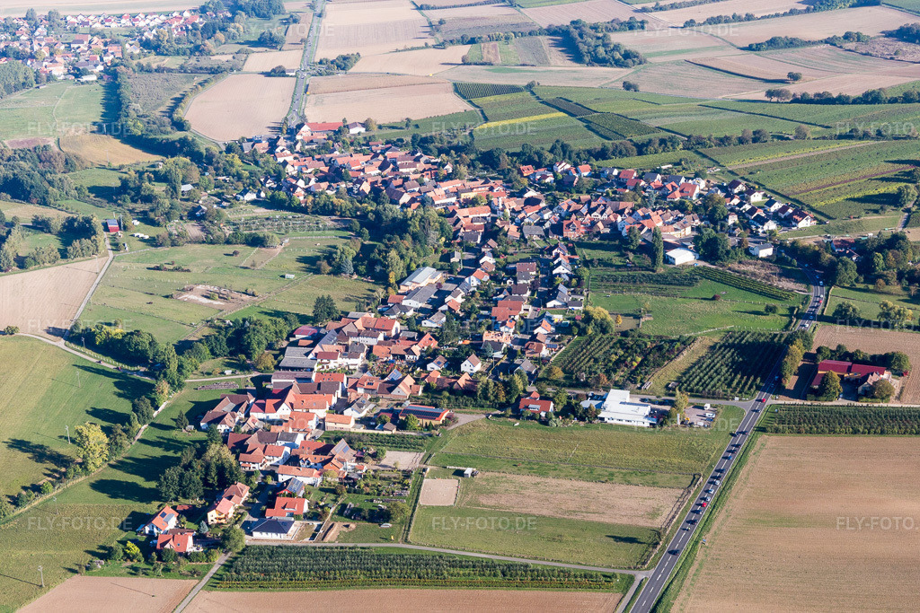 Luftbild: landwirtschaftlichen Feldern und Nutzflächen in Oberhausen im Bundesland Rheinland-Pfalz in Deutschland. Foto: IMG_095306.jpg vom 16.10.2016 durch Werner Riehm/FLY-FOTO.de