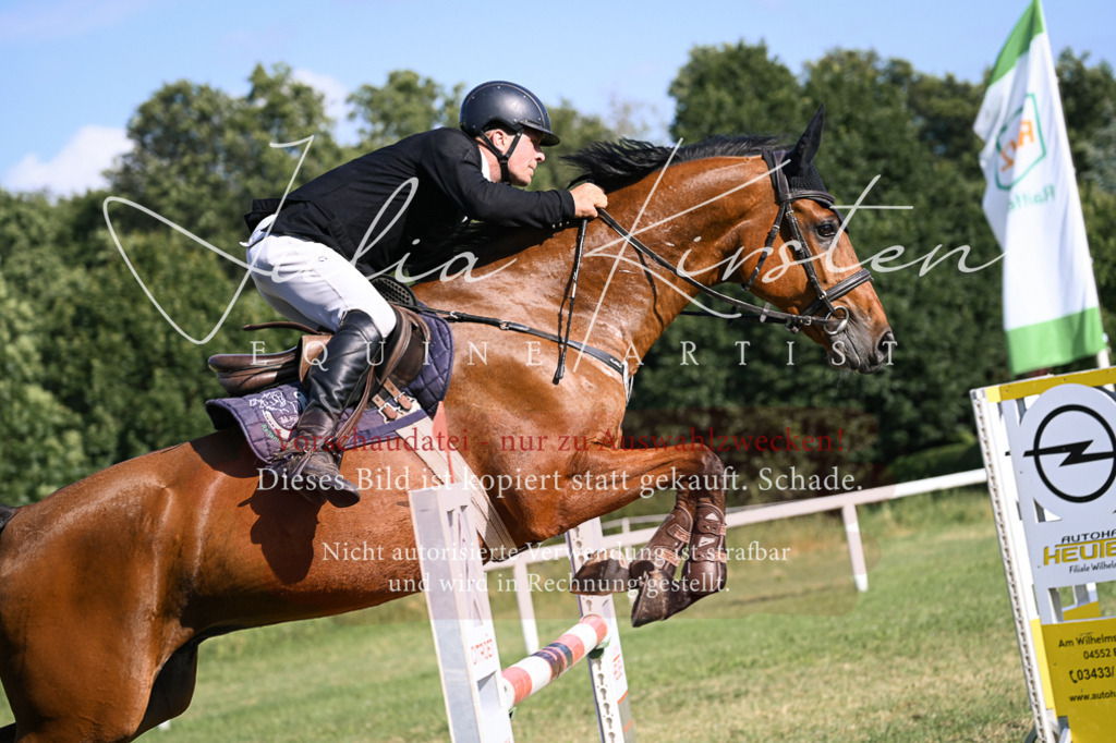 DSC_1502 | Pferde- und Turnierfotografie in Westsachsen. Pferdeportraits, Auftragszeichnungen und intuitive Kunst.