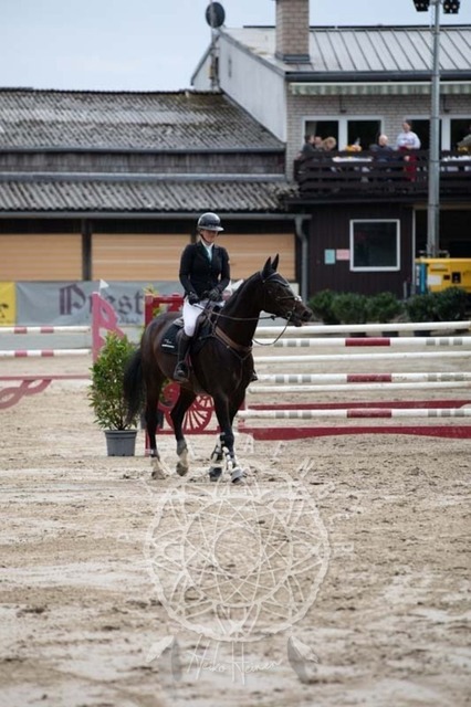 2B4A2488 | pixelfaenger - Realisiert mit Pictrs.com