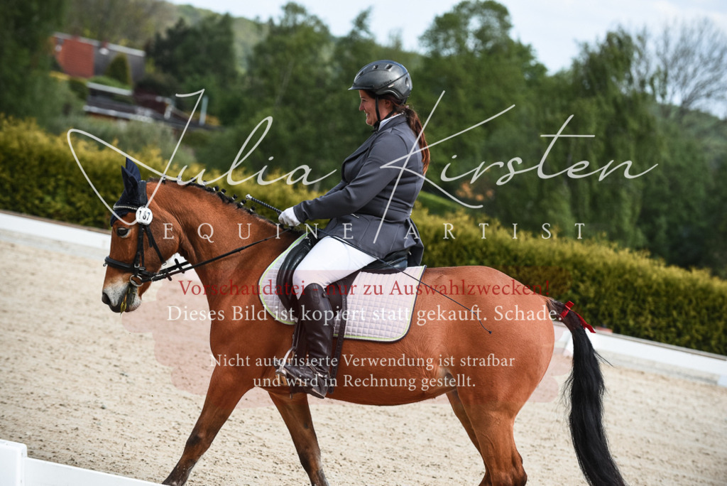 20230518_JK-Röhrsdorf-12-0043 | Pferde- und Turnierfotografie in Westsachsen. Pferdeportraits, Auftragszeichnungen und intuitive Kunst.