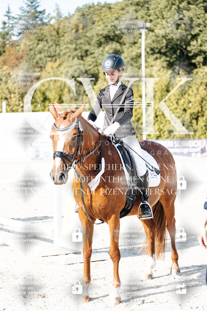CK903571 | Turnierfotografie Pferdefotografie Trier Rheinland-Pfalz Pferdesport Reitsport Tierfotografie Sportfotografie Pferdevideo Pferdevideografie Equestrianvideography equestrianphotography  - Realisiert mit Pictrs.com
