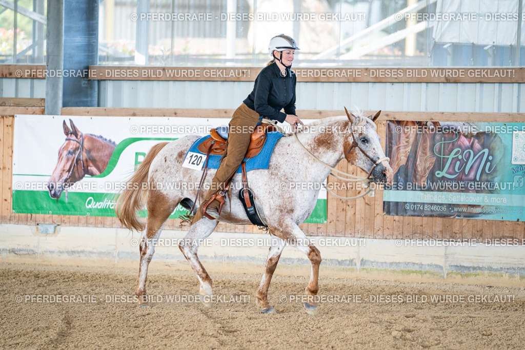 DSC01886 | Pferdegrafie