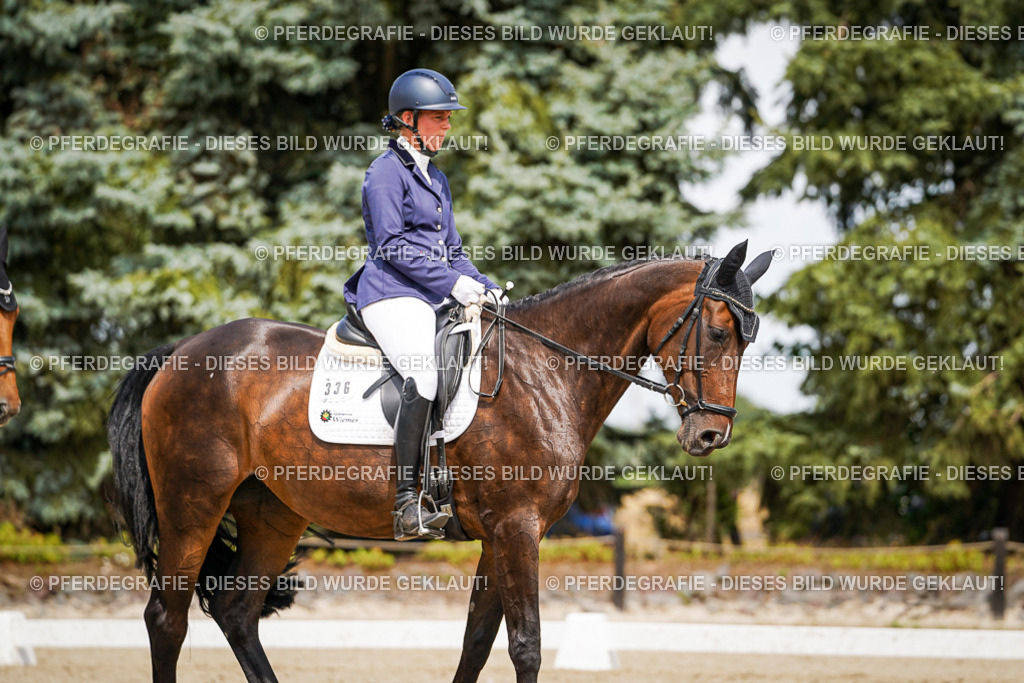 DSC03889 | Pferdegrafie