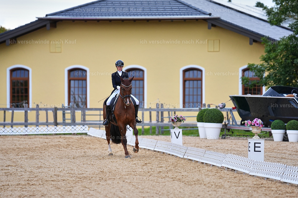 8_1-085-Klasse S_  -Marixx-4098 | working equitationturnier fotograf videograf stoibphotography marixx film working equitation deutschland reitsport turnierfotografie eventfotografie equestrian events