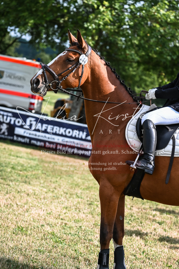 DSC_7686 | Pferde- und Turnierfotografie in Westsachsen. Pferdeportraits, Auftragszeichnungen und intuitive Kunst.