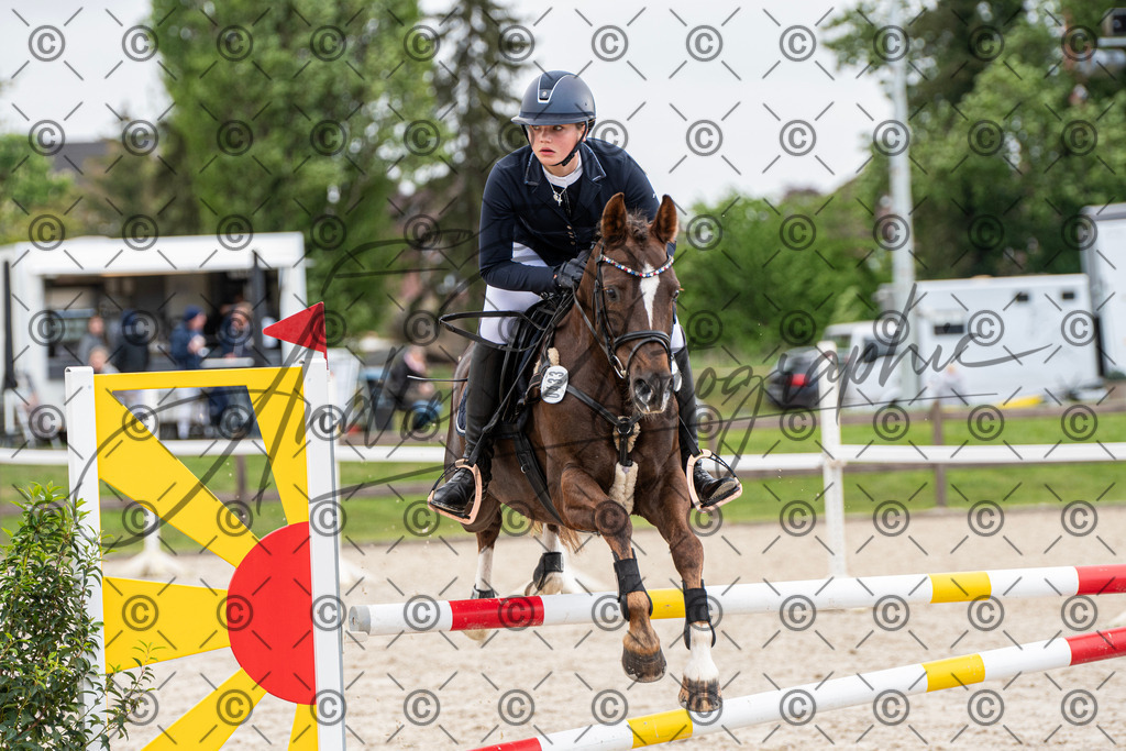 KPT_8112 | andre_photographic