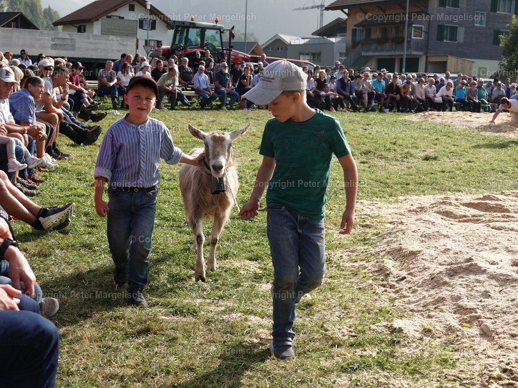 DSC05810 | Schwingen - Realized with Pictrs.com