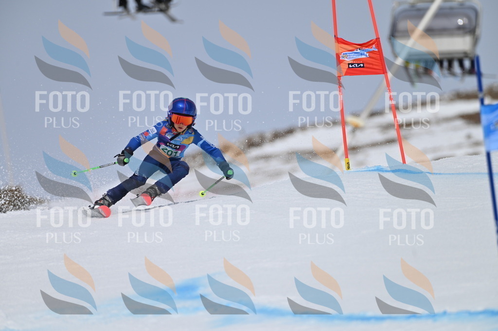 BGV_3865 | holidayphoto