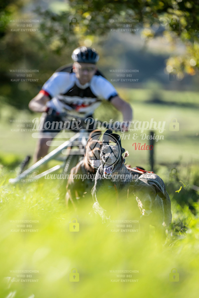 MompixPhotography_20TSB_E3_Kart-6 | PayLife