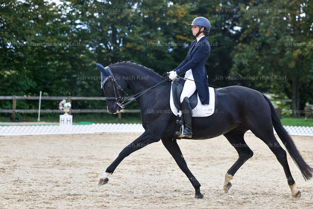 10-190-ST.GEORG SPECIAL -StoibPH-3221 | working equitationturnier fotograf videograf stoibphotography marixx film working equitation deutschland reitsport turnierfotografie eventfotografie equestrian events