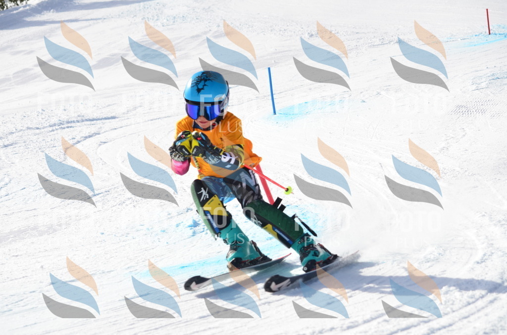 C6559 | holidayphoto