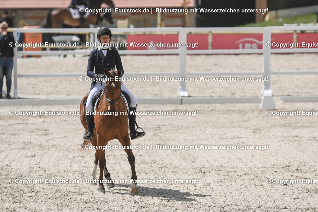 20250516_CCI2_Dressur_0307 | Foto: Thomas Hartig