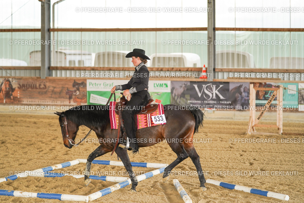 DSC00790 | Pferdegrafie