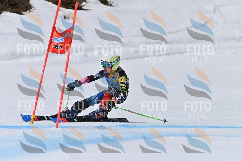 BGV_4945 | holidayphoto