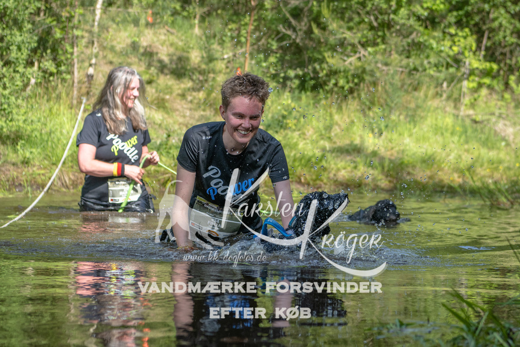 0951DKK9_ZZ93433 | kk-dogfotos