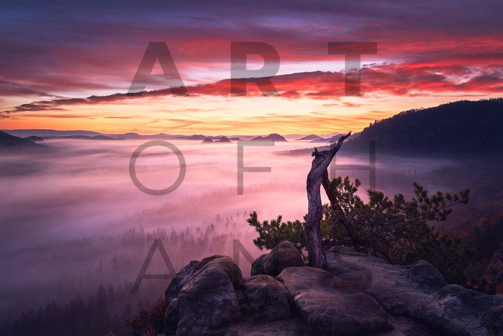 Ein Hans Fineart Original | Entdecke die Kunst von Hans Fineart - Fotografien für dein Zuhause. Verwandle deine Wände mit einzigartigen Kunstwerken und bringe die Schönheit der Welt in dein Leben. Bestelle jetzt und schaffe einen Ort der Inspiration und Eleganz.