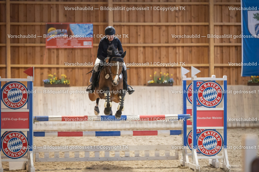 _D5A8820 | Emotionale Pferde- & People-Fotografie rund um Heidelberg, Leimen & Umgebung. Natürliche Fotos von Pferd, Mensch & Familie. Jetzt Termin sichern!