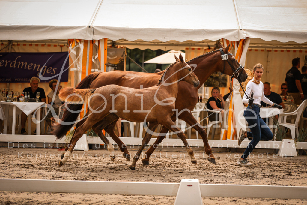 SaPA00176 | Leoni Ertmer Photography - Realisiert mit Pictrs.com