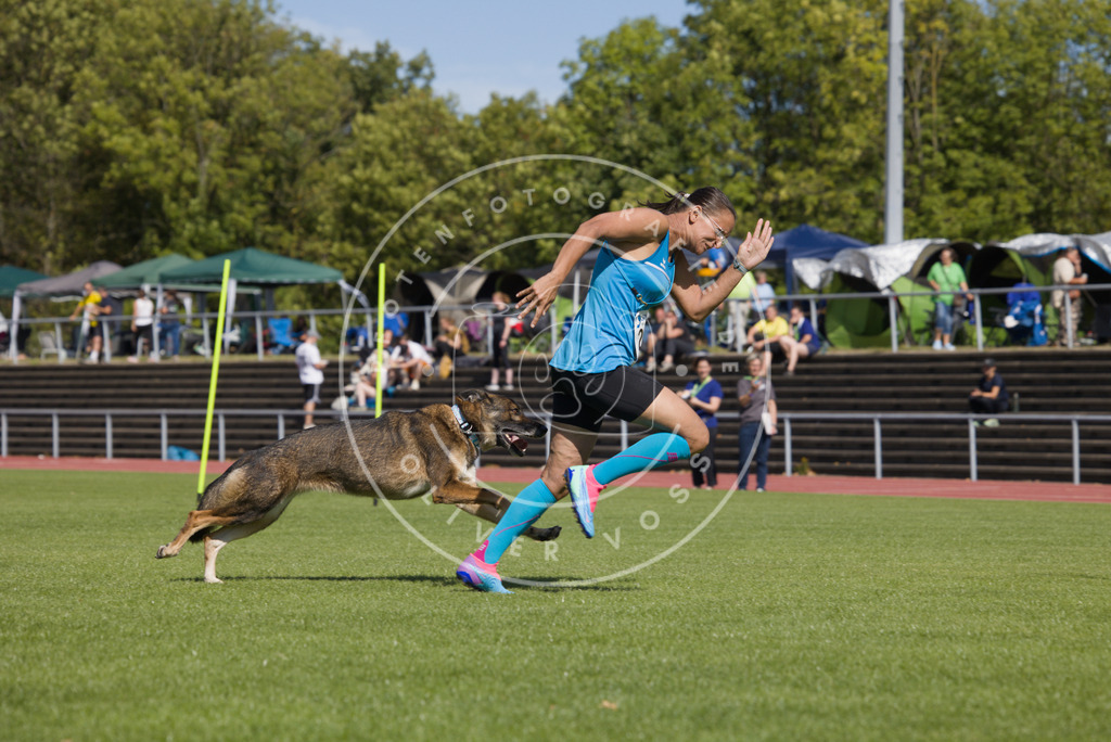 0L8A6923 | Hundefotografie, Tierfotograf, Pfotenfotografie, Fotoshooting Hund, Hunde Portrait, Hundesport, Hundeportraits, Heideshooting, Hunde, Sportfotograf, Hundefotograf, Turnierhundsport, THS,  - Realisiert mit Pictrs.com