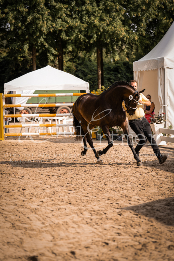 FrER00158 | Leoni Ertmer Photography - Realisiert mit Pictrs.com